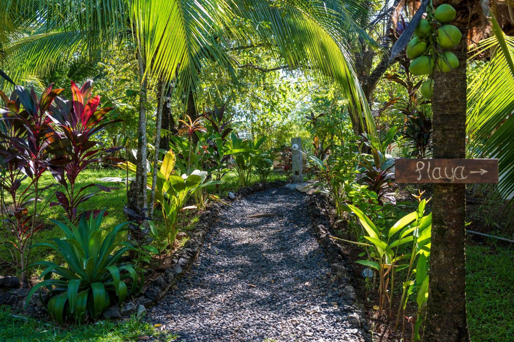 Eco-Lodge Deseo Bamboo Santa Catalina Exterior foto