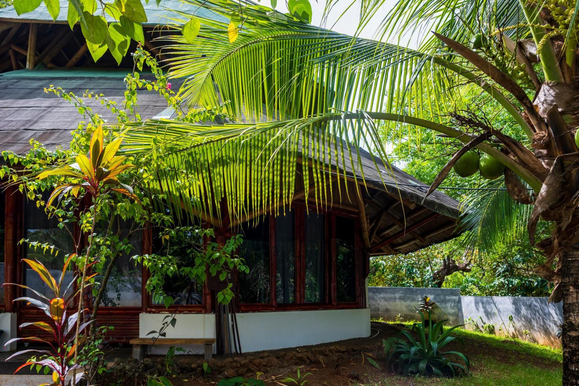 Eco-Lodge Deseo Bamboo Santa Catalina Exterior foto